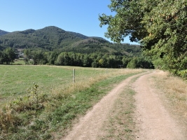 surroundings
