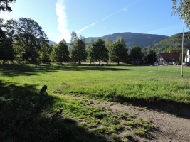 surroundings